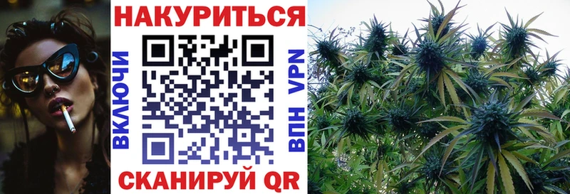 Конопля OG Kush Чадан